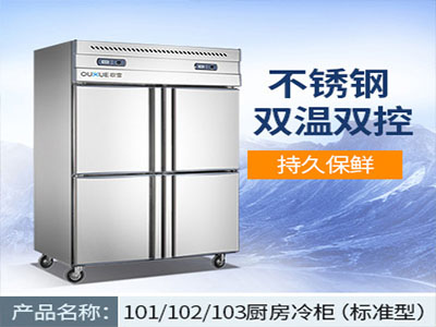 標準廚房冷柜